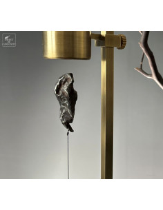 Seymchan meteorite (IRON... 2