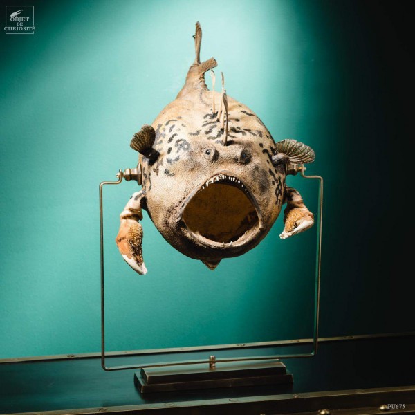 Chimera of crab fish
