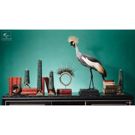 Grue couronnée taxidermie