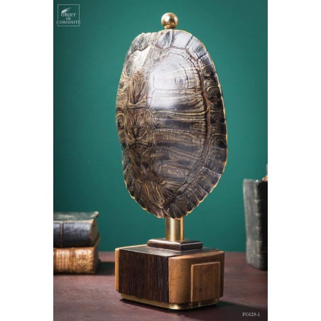 Shell of TRACHEMYS SCRIP tortoise on precious wood