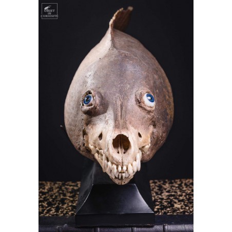 CHIMERE de poisson ANGE COYOTTE