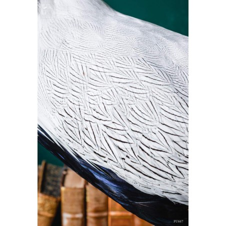 Silver pheasant on black base