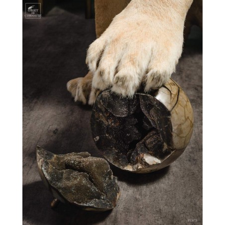 Taxidermy of a Tsavo lion with septaria