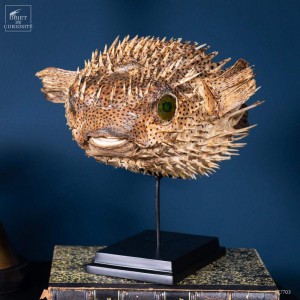 Diodon à pics sur base noire taxidermie ancienne