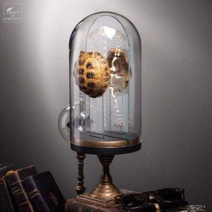 Eclaté  de tortue terrestre de Horsfield