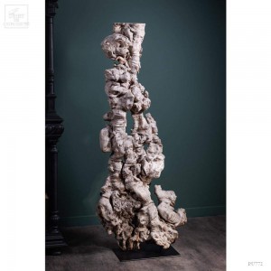 Loupe de longanier sur base... 2