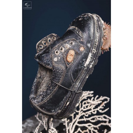 Junk of the sea: black shoe