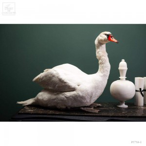 SWAN taxidermy VISIBLE AT Paris show room