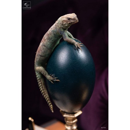 Lézard UROMASTYX OCELLATA du Soudan sur oeuf d'émeu