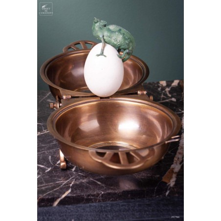 Brass box with Calyptratus Chameleon on egg