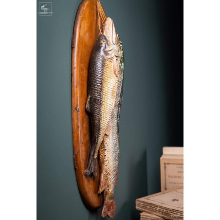 Majolique Italienne 3 poissons en céramique