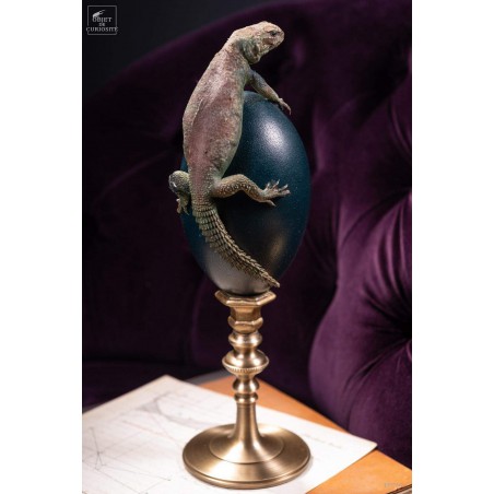 Lézard UROMASTYX OCELLATA du Soudan sur oeuf d'émeu