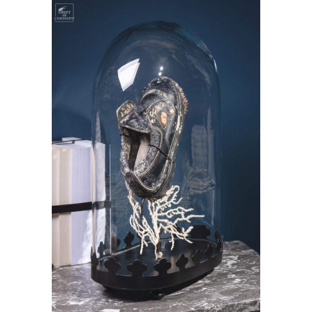 Junk of the sea: black shoe