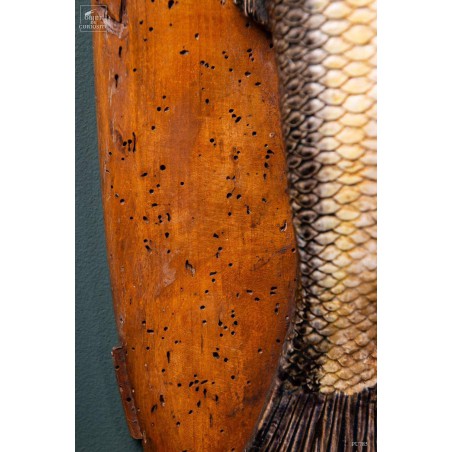 Majolique Italienne 3 poissons en céramique