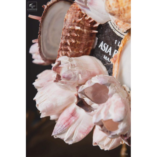 Déchet de la mer: bouteille avec spondyle, base laiton Déchet de la mer: bouteille avec spondyle, base laiton