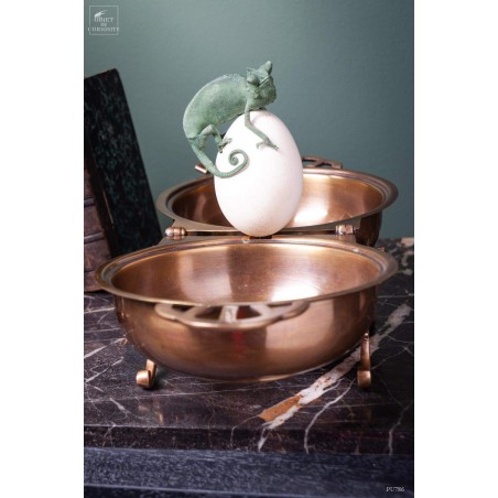 Brass box with Calyptratus Chameleon on egg