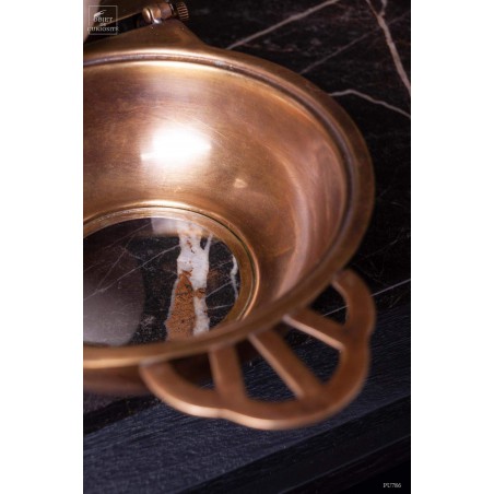 Brass box with Calyptratus Chameleon on egg