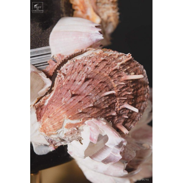 Déchet de la mer: bouteille avec spondyle, base laiton Déchet de la mer: bouteille avec spondyle, base laiton