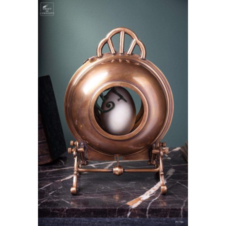 Brass box with Calyptratus Chameleon on egg