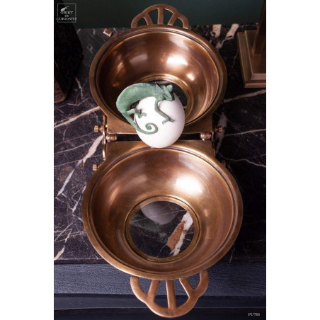Brass box with Calyptratus Chameleon on egg