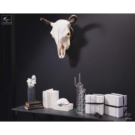 Crâne de bison avec cornes