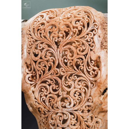 Buffalo skull (Indonesia): entirely carved