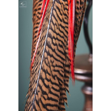 Taxidermie de Faisan doré  sur perchoir cuivré