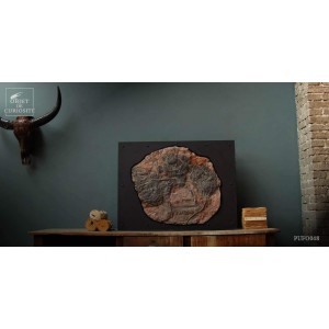 Large fossilized crinoid