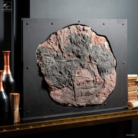 Crinoïde grande plaque 4 têtes Support plasma