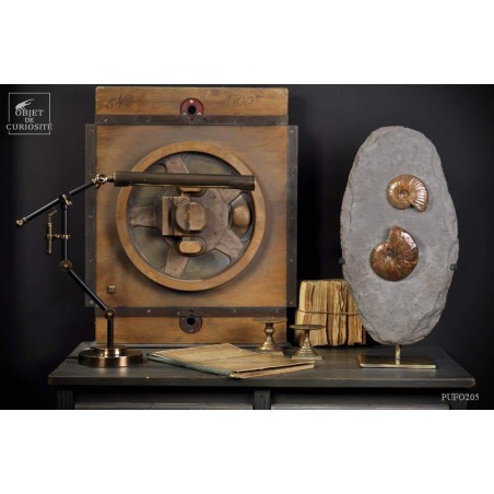 Ammonites reflex rouge de Madagascar sur gangue par 2 - support laiton