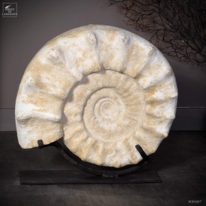White spicky amonite Madagascar - 33kg