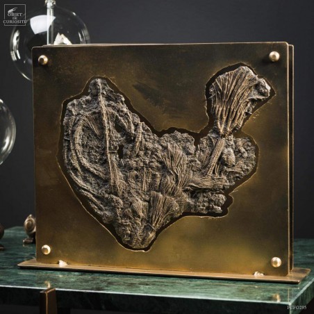 pyritized Crinoïde  in brass industrial display