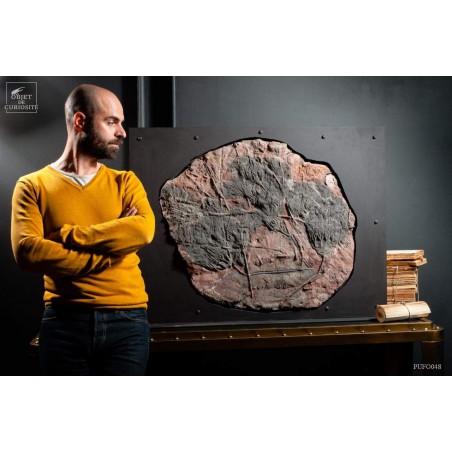 Crinoïde grande plaque 4 têtes Support plasma