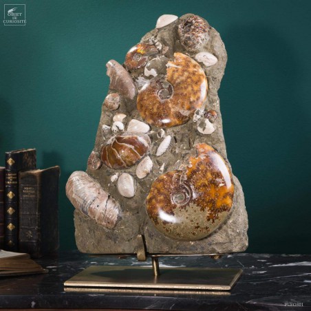 Bloc d'ammonites de l'Albien - Madagascar 13.6kg - sur plaque laitonnée