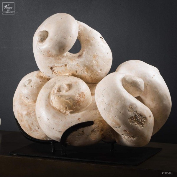 Fossile Caprina Adversa 44kg socle fer noir