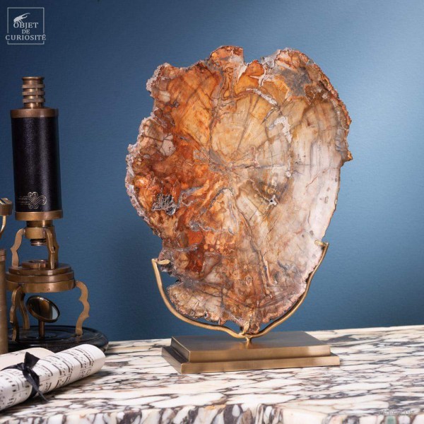Tranche de bois fossile de 2.7kg (Madagascar) sur base laiton Tranche de bois fossile de 2.7kg (Madagascar) sur base laiton