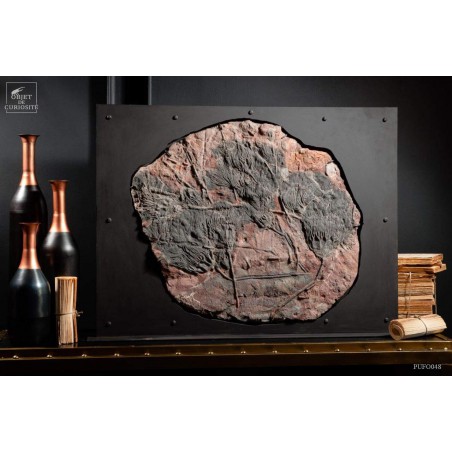 Crinoïde grande plaque 4 têtes Support plasma