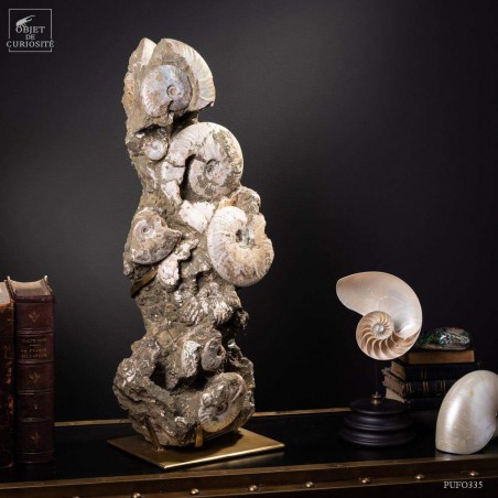 Block of albian ammonite 28kg VISIBLE AT OMBRES ET FACETTES