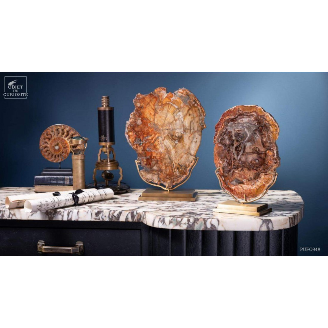 Tranche de bois fossile de 2.7kg (Madagascar) sur base laiton Tranche de bois fossile de 2.7kg (Madagascar) sur base laiton