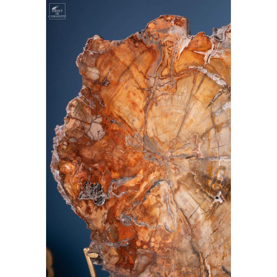 Tranche de bois fossile de 2.7kg (Madagascar) sur base laiton Tranche de bois fossile de 2.7kg (Madagascar) sur base laiton