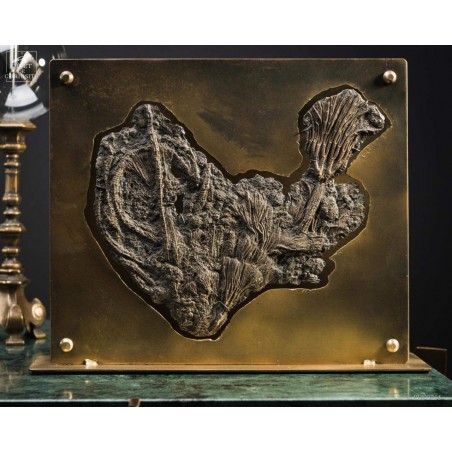 pyritized Crinoïde  in brass industrial display