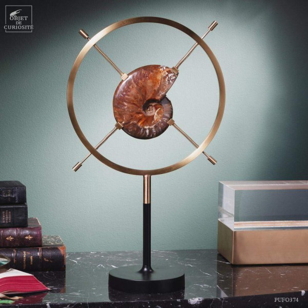 Red hues ammonite from Madagascar