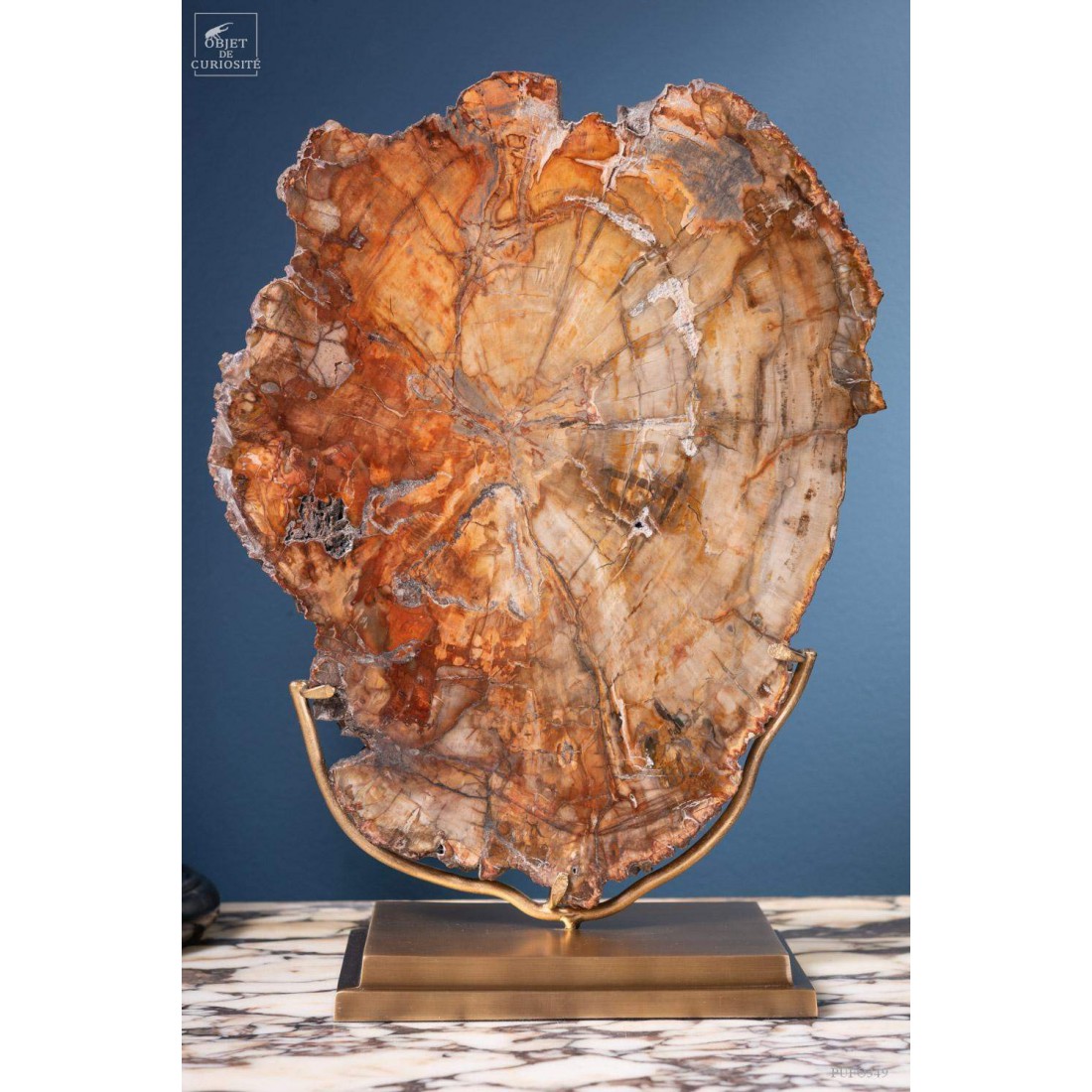 Tranche de bois fossile de 2.7kg (Madagascar) sur base laiton Tranche de bois fossile de 2.7kg (Madagascar) sur base laiton