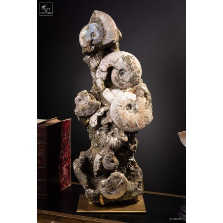 Block of albian ammonite 28kg VISIBLE AT OMBRES ET FACETTES