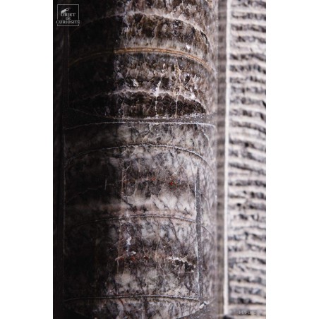 Orthoceras géant brisé  restauration sarcophage de fer