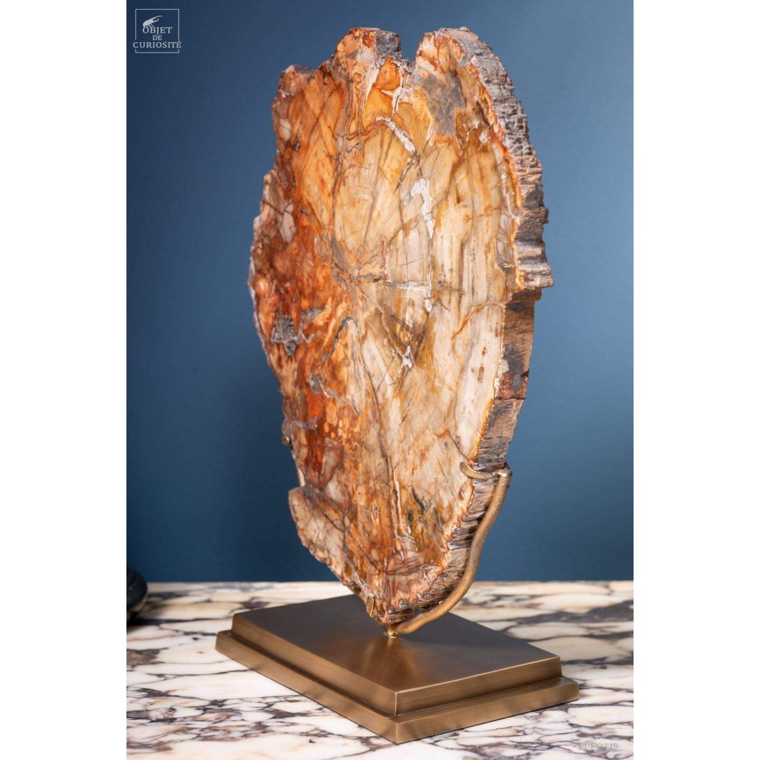 Tranche de bois fossile de 2.7kg (Madagascar) sur base laiton Tranche de bois fossile de 2.7kg (Madagascar) sur base laiton