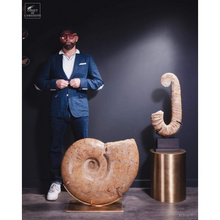 Ammonite semi-polie de 116kg  (Madagascar)