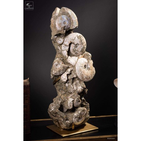Block of albian ammonite 28kg VISIBLE AT OMBRES ET FACETTES