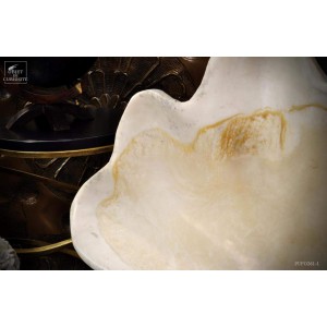 Fossilized giant Clam (Tridacna Gigantea) 2
