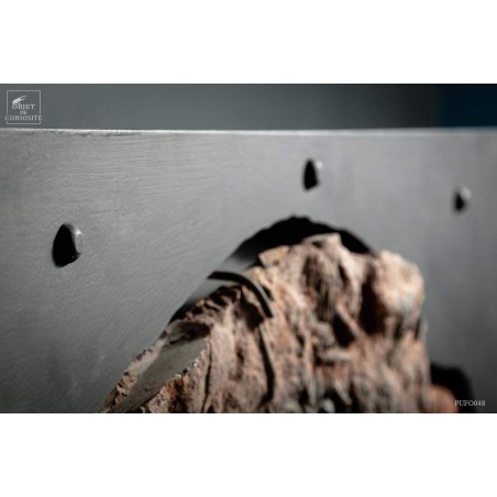 Crinoïde grande plaque 4 têtes Support plasma